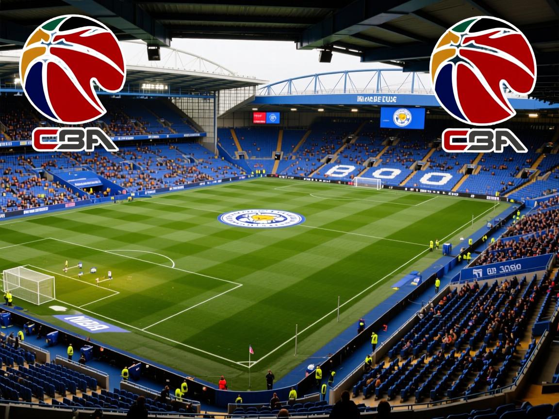 莱斯特城客场输给埃弗顿,陷入低谷 第3张