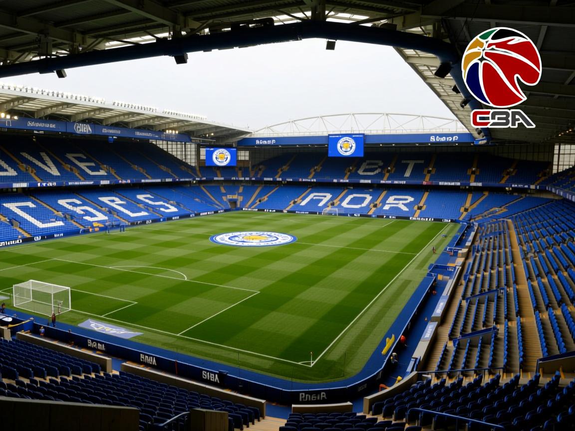 莱斯特城客场输给埃弗顿,陷入低谷 第4张