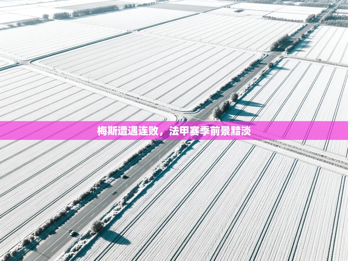 梅斯遭遇连败，法甲赛季前景黯淡  第2张