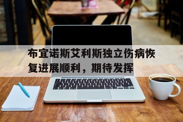 开云体育网站-布宜诺斯艾利斯独立伤病恢复进展顺利，期待发挥的简单介绍